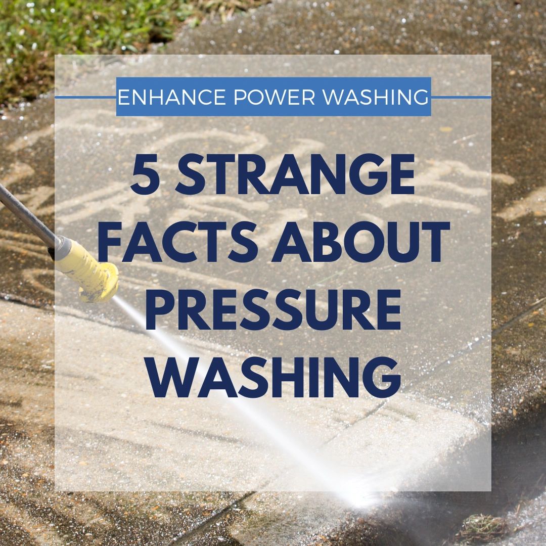 5 Strange Facts About Pressure Washing